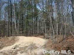Lot 2 Robinson Street - Photo 1