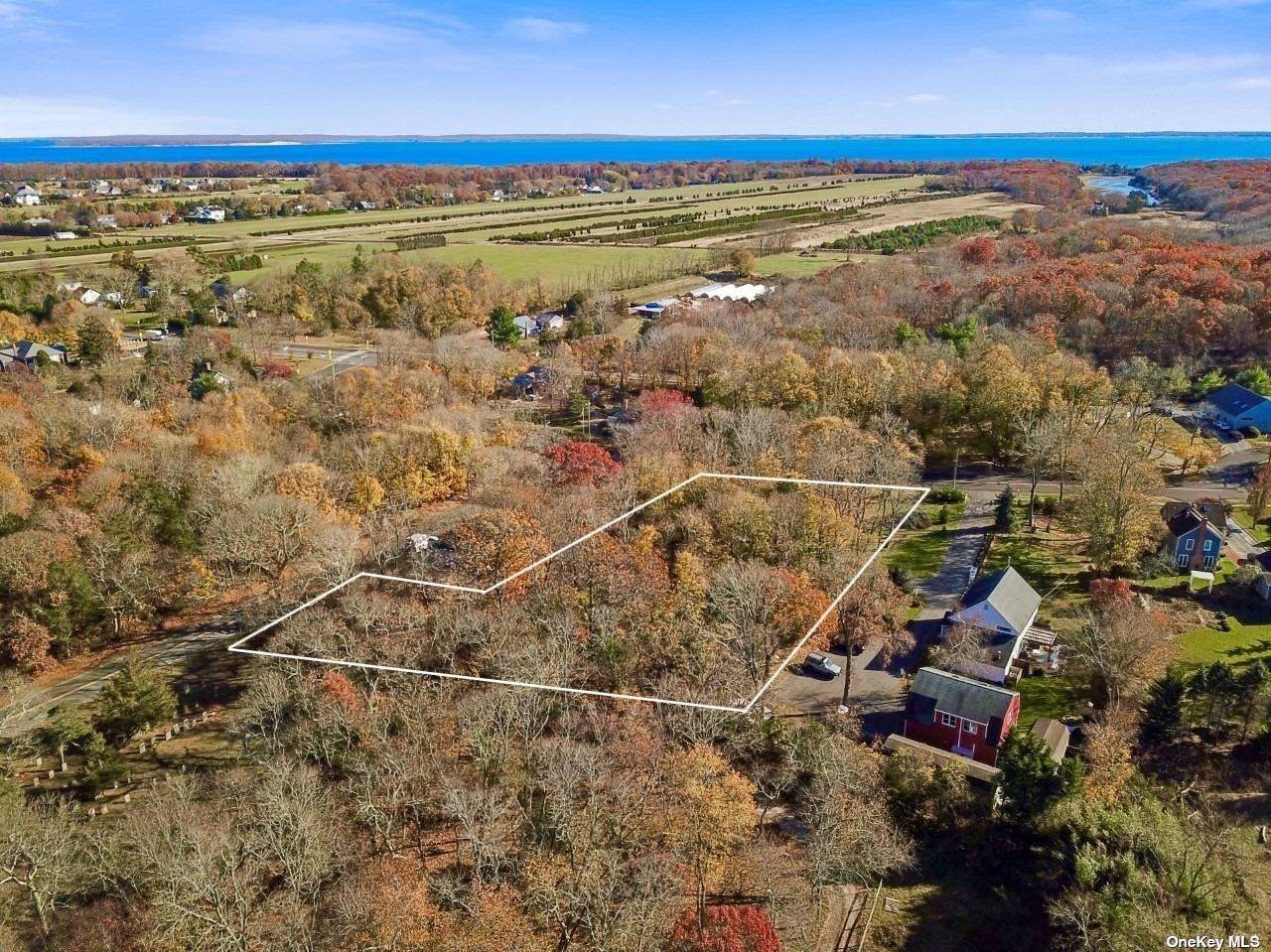 585 Franklinville Road - Photo 1