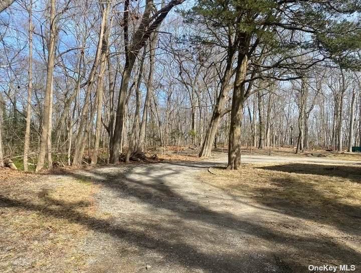 45 Mill River Road - Photo 1