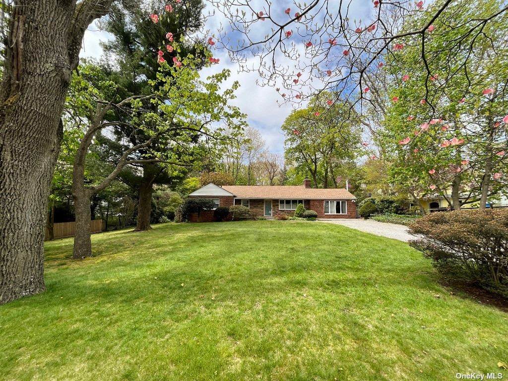 3 Dixon Court - Photo 1