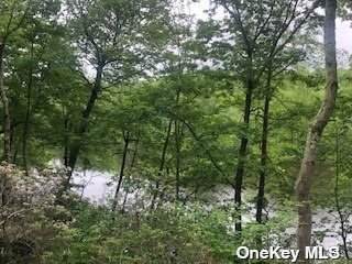 428 Harbor Road - Photo 1