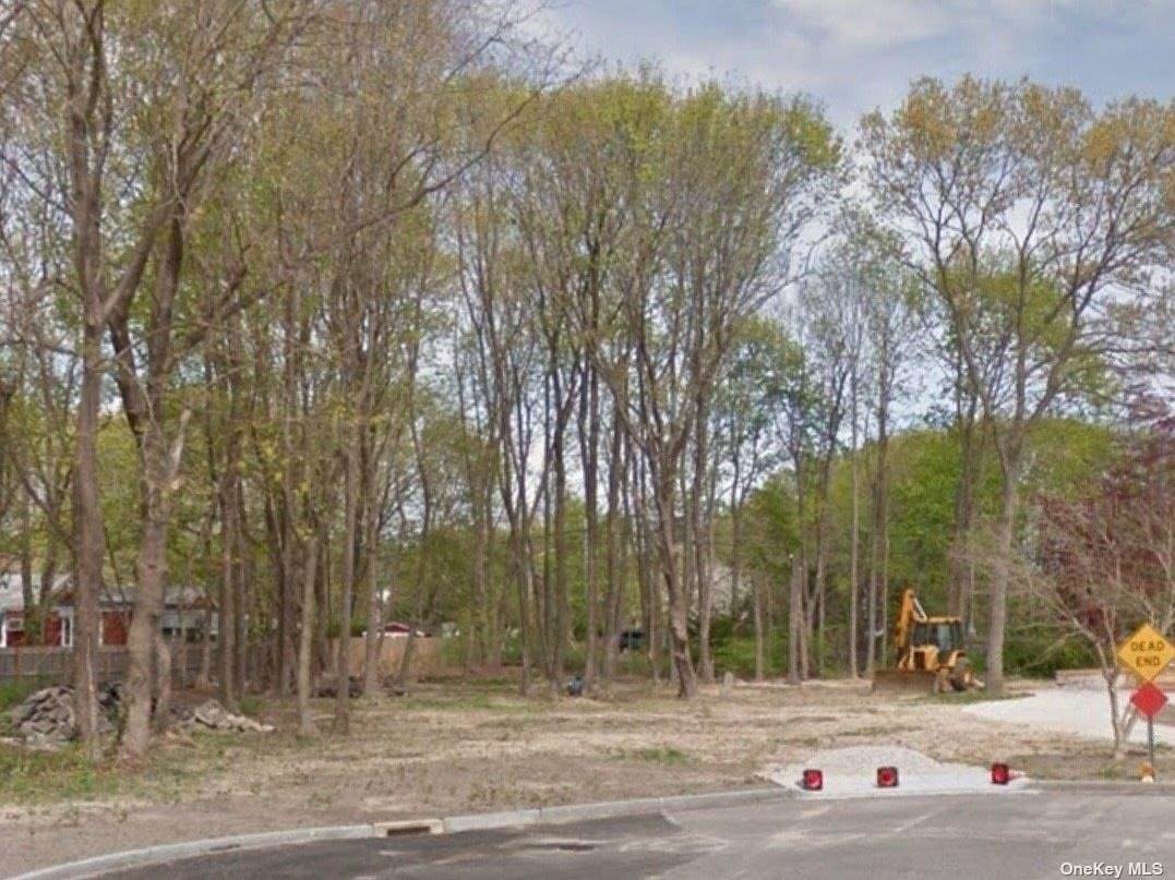 Cherry Lane - Photo 1