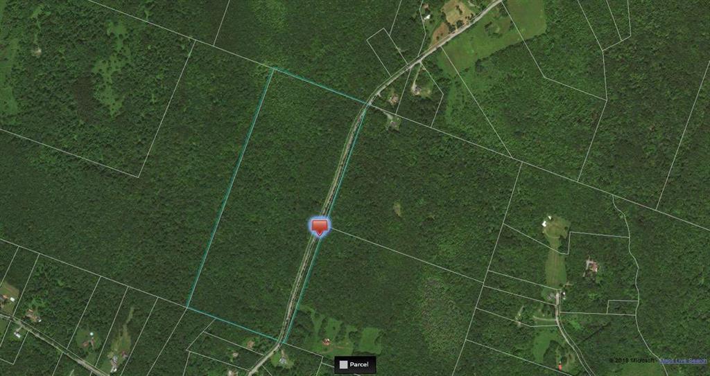 249 White Roe Lake Road - Photo 1