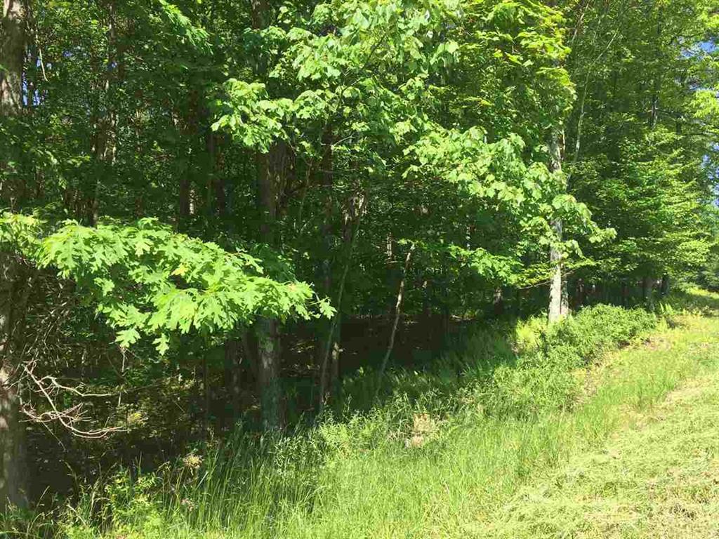 Country Road - Photo 1