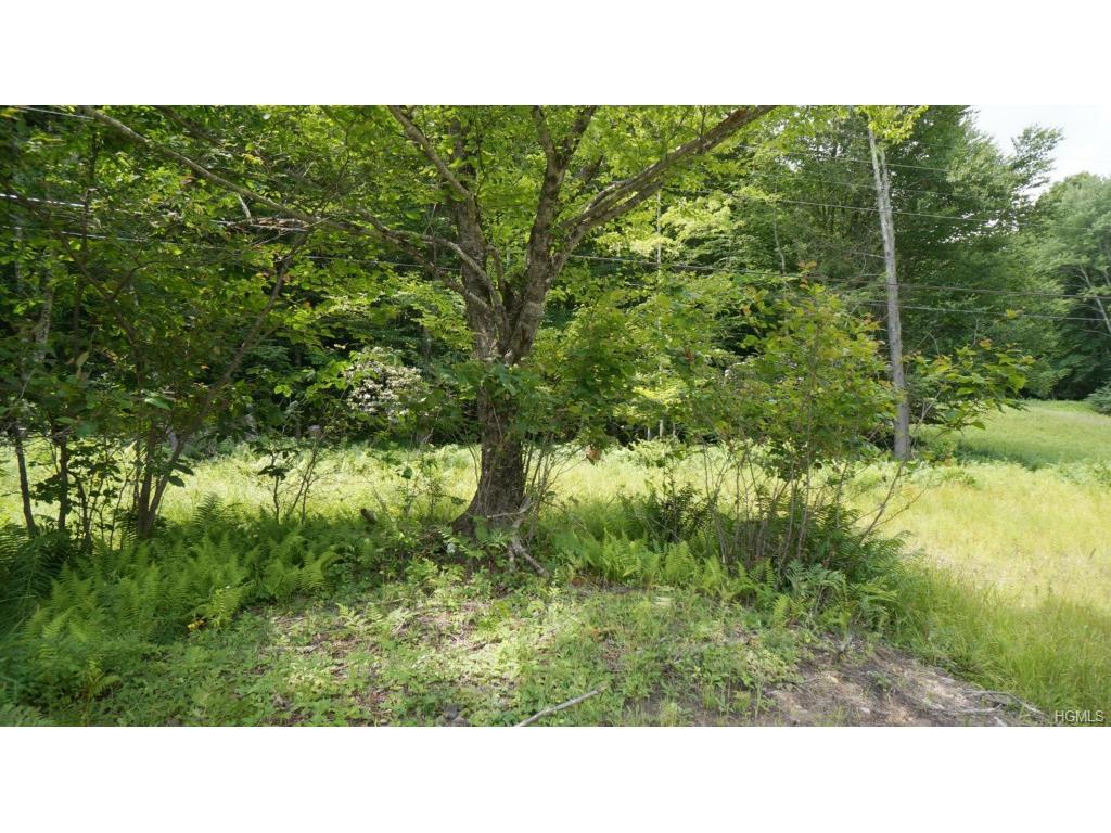(Lot 4) State Route 55 - Photo 1