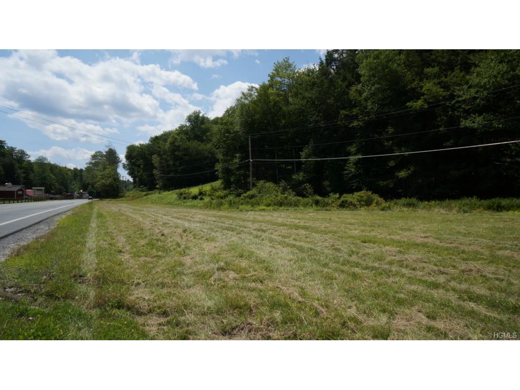 (Lot 5) State Route 55 - Photo 1