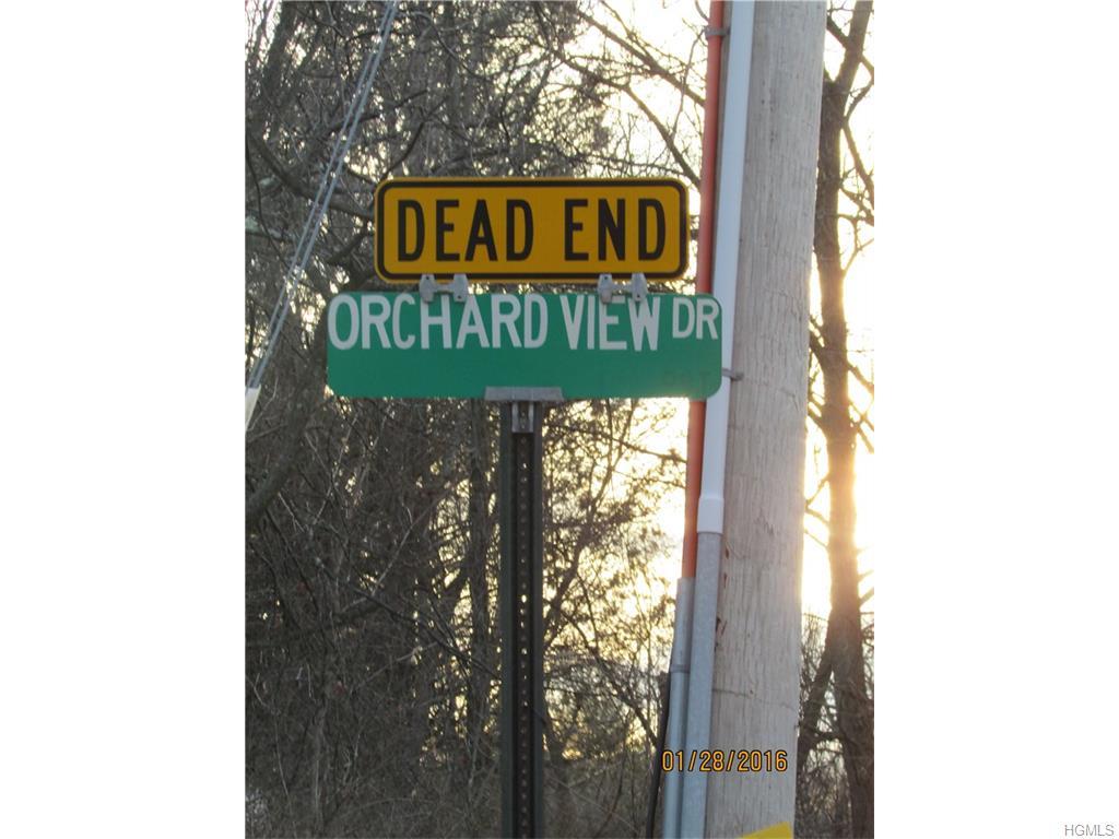 14 Orchard View Drive, Marlboro, NY 12542 (MLS #4603307) :: William Raveis Legends Realty Group