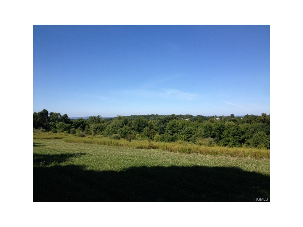 Guinea Hill Road - Photo 1