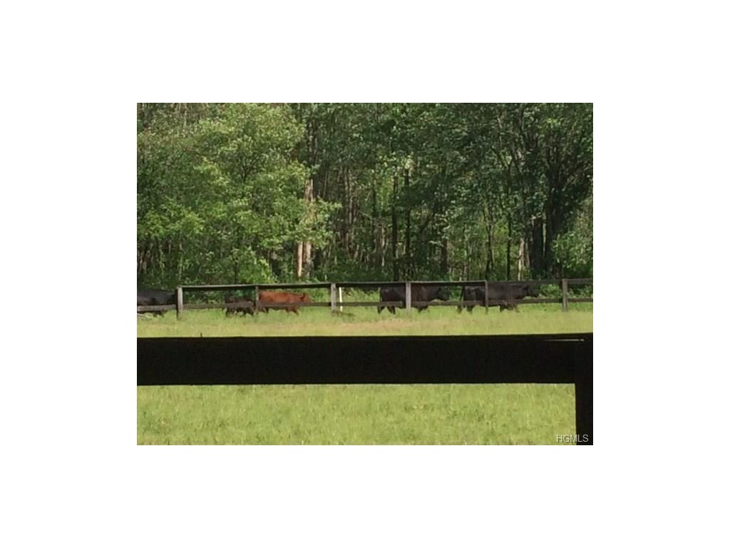 Noxon Road - Photo 1