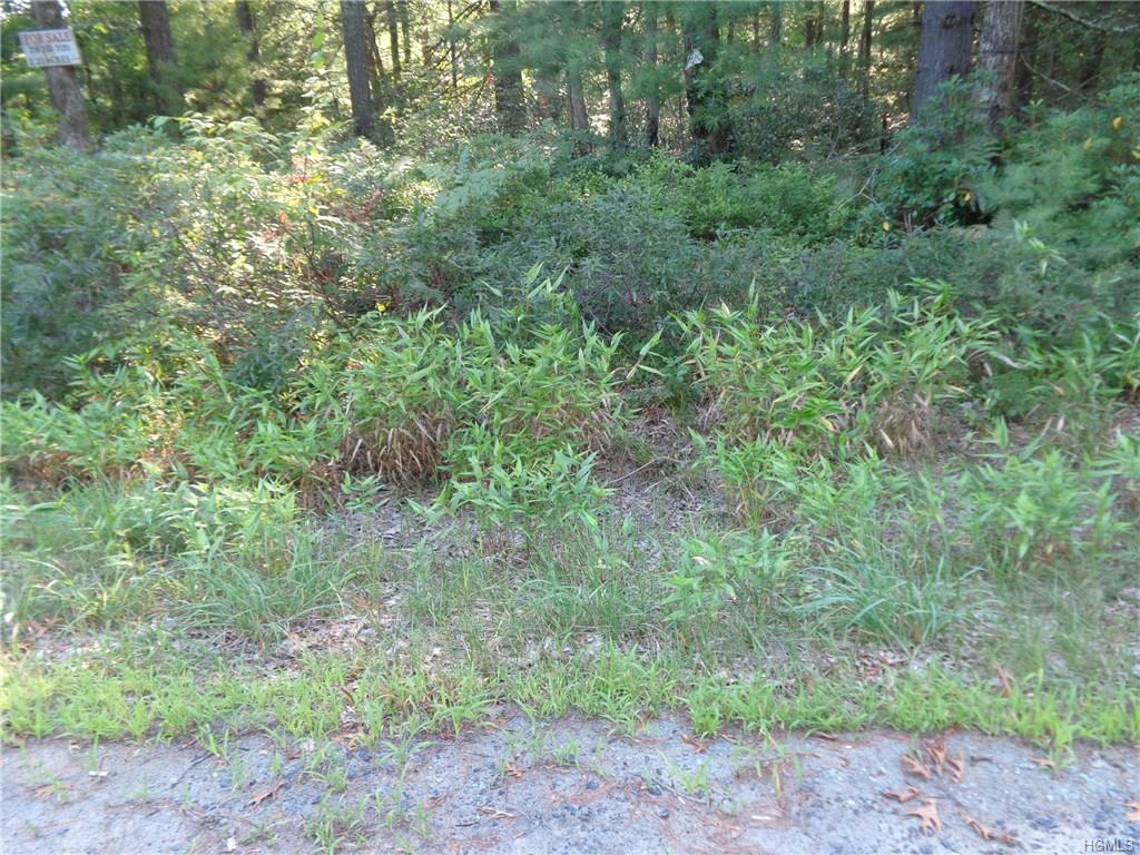 Lebanon Road - Photo 1