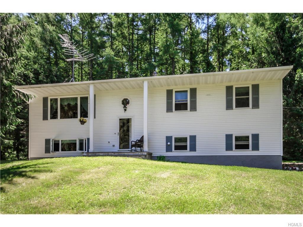 191 Downing Road, Pleasant Valley, NY 12569 (MLS #4627118) :: William Raveis Legends Realty Group