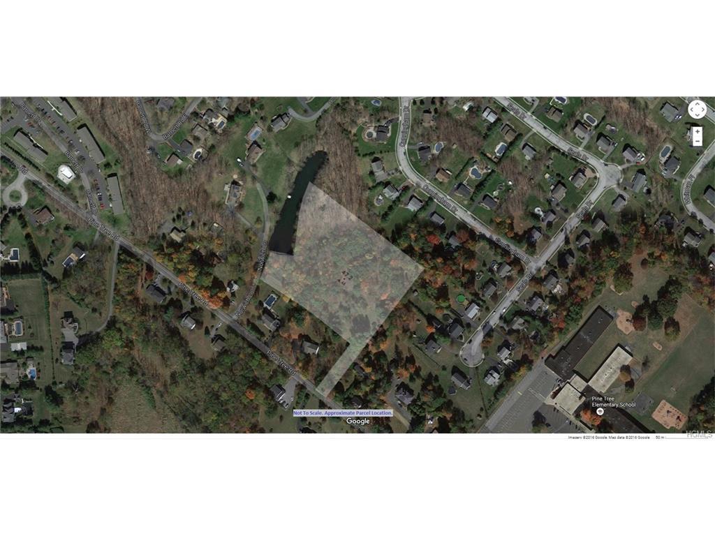 Pine Tree Road - Photo 1