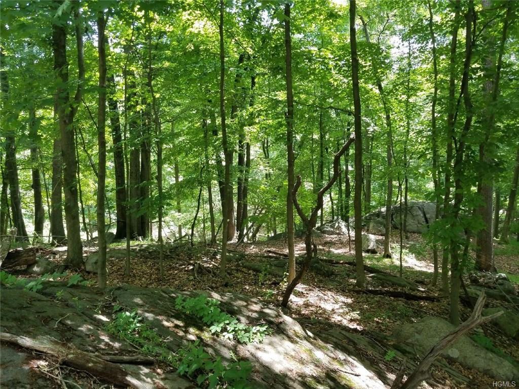 191 Cedar Flats Road - Photo 1