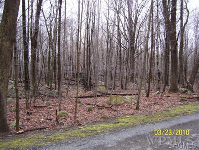4 Miller Hill Woods Road - Photo 1