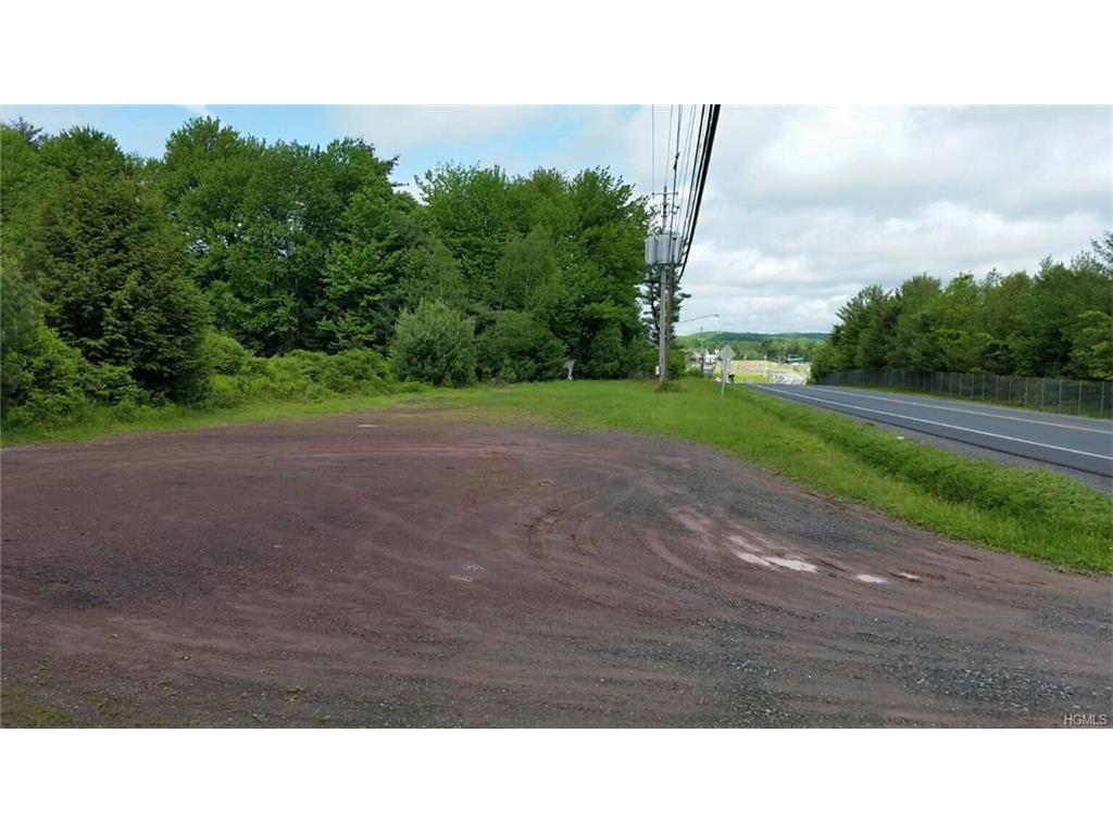 0 Bridgeville Road - Photo 1