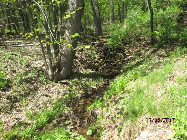 Hessinger Lare Road - Photo 1