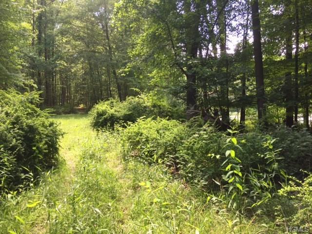 53 Mount Airy Road - Photo 1