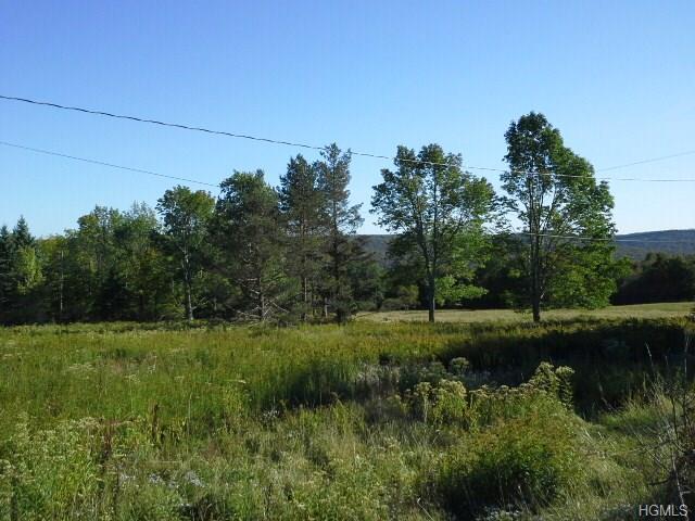 519 Brown Settlement Road - Photo 1
