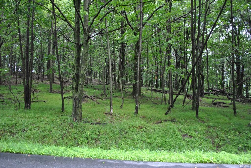 Skyline Drive - Photo 1