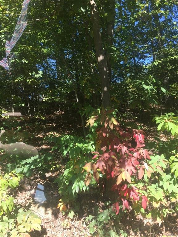 Forest Glen Road - Photo 1