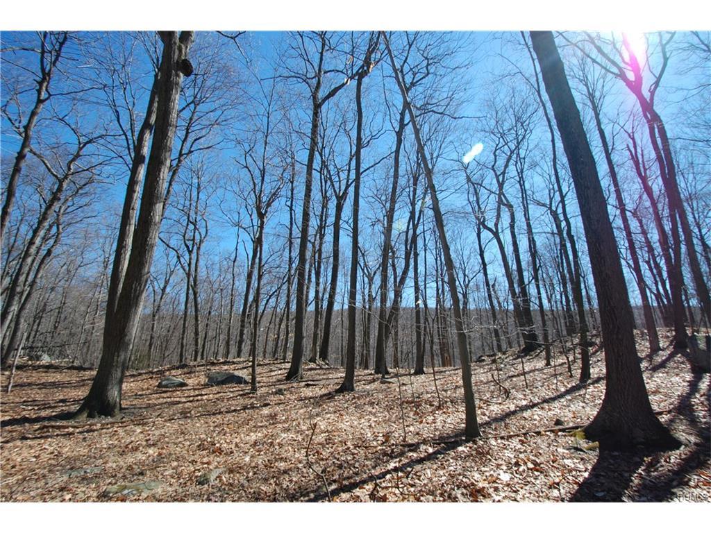 321 Buttermilk Falls Road - Photo 1