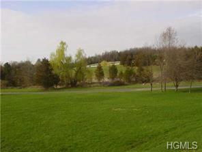 483 Black Meadow Road - Photo 1