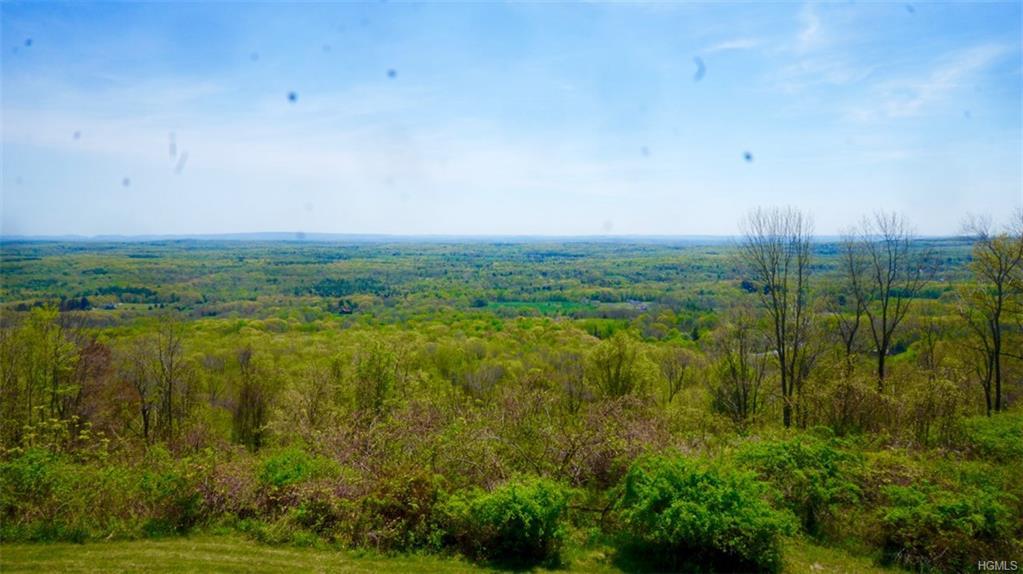TBD Mountain Road - Photo 1