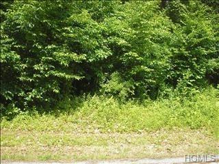Lot 11 Carol Lane - Photo 1