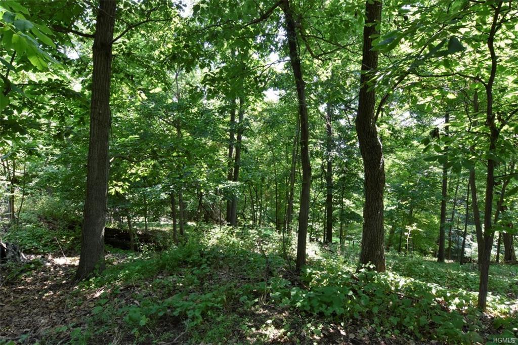 Cyrus Field Road - Photo 1