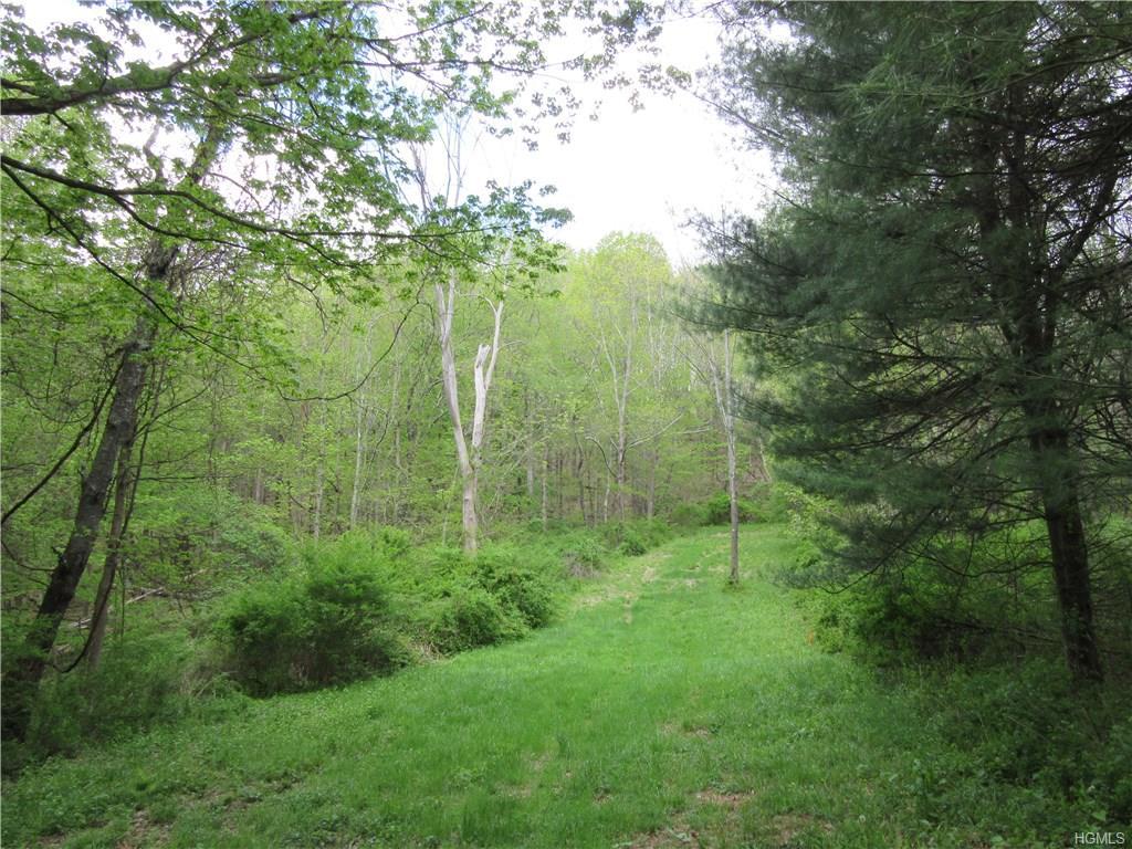 4993-Lot #1 Route 22 - Photo 1