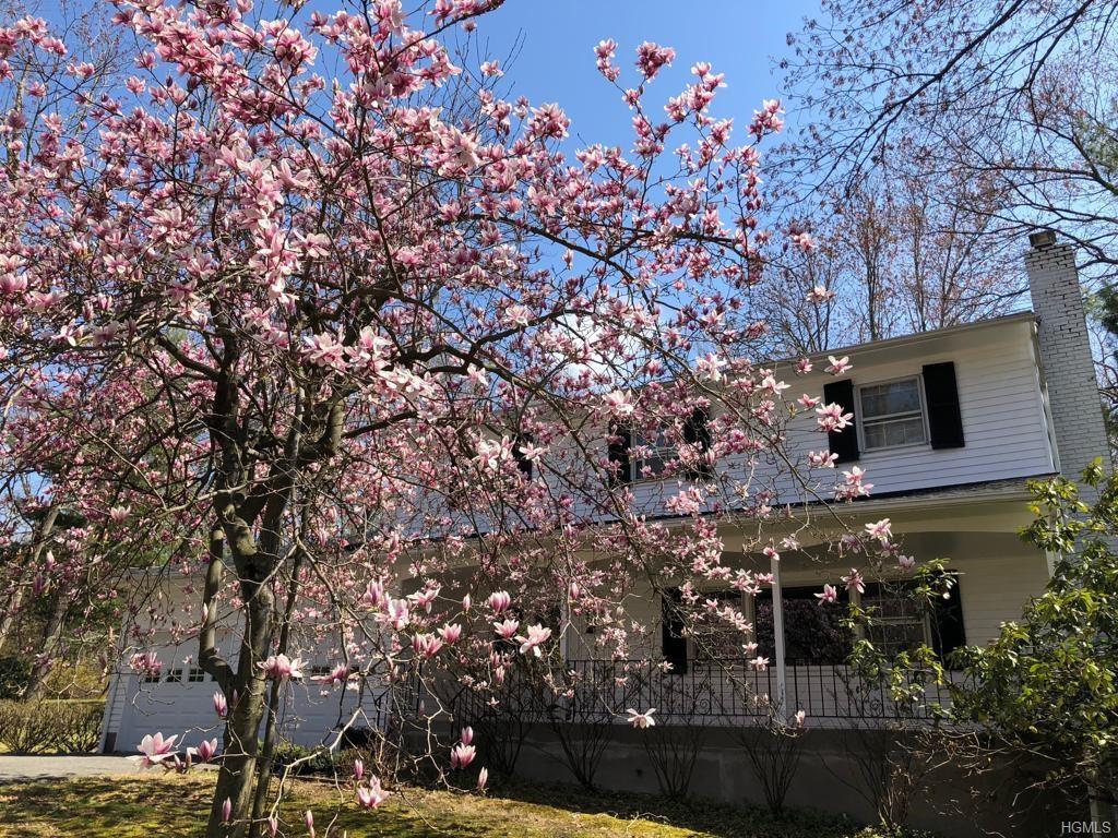 75 Pomona Road - Photo 1