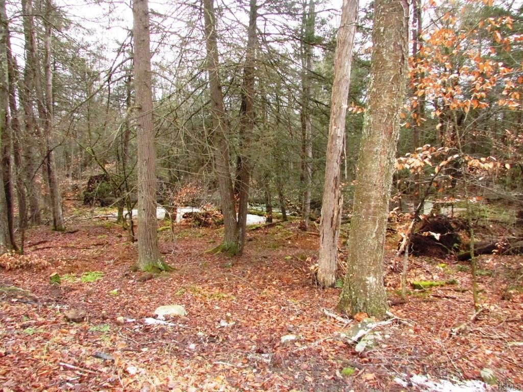 Dill Road - Photo 1