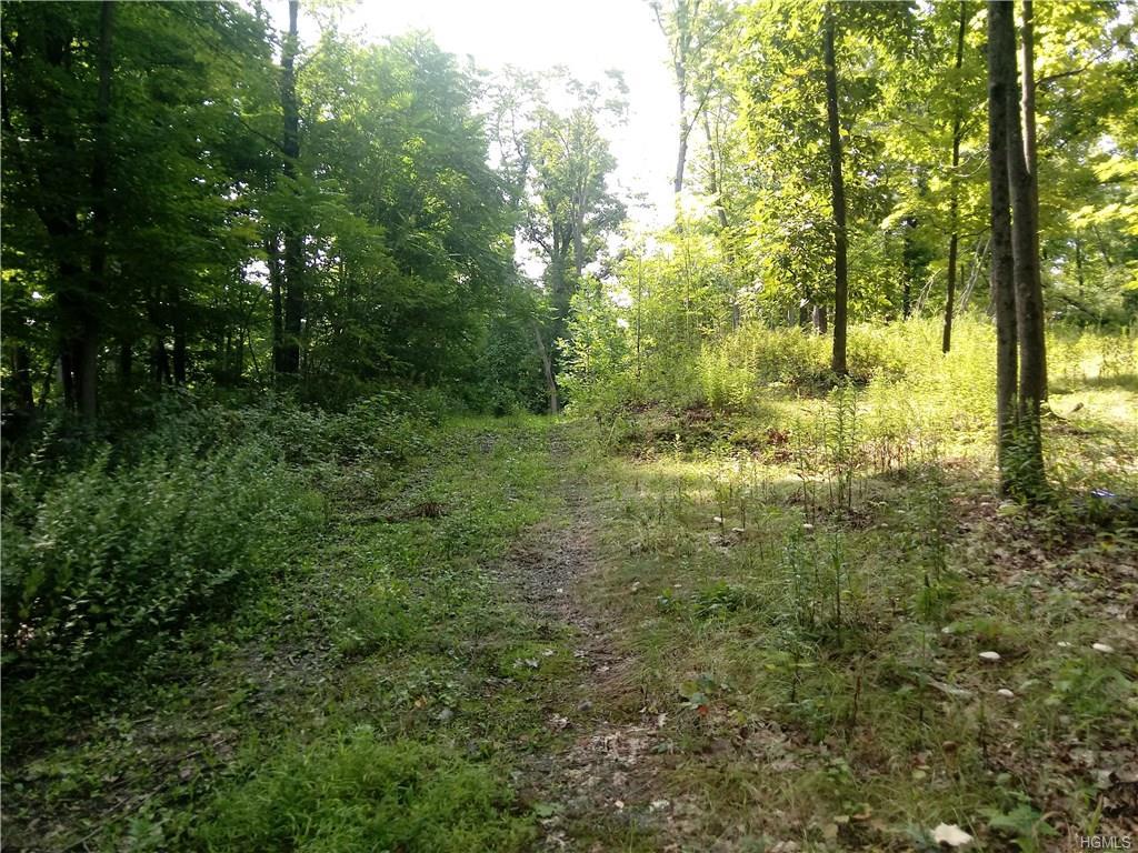 519 Budds Corners Road - Photo 1