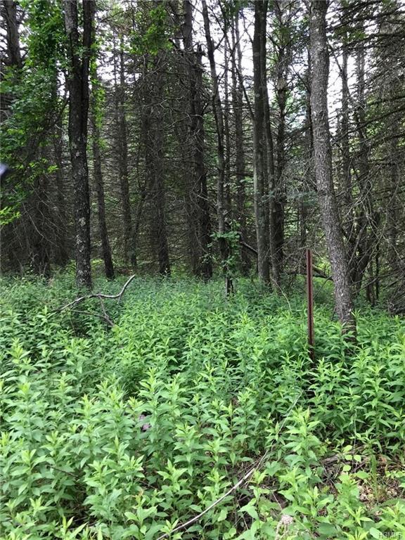 Tamarack Road - Photo 1