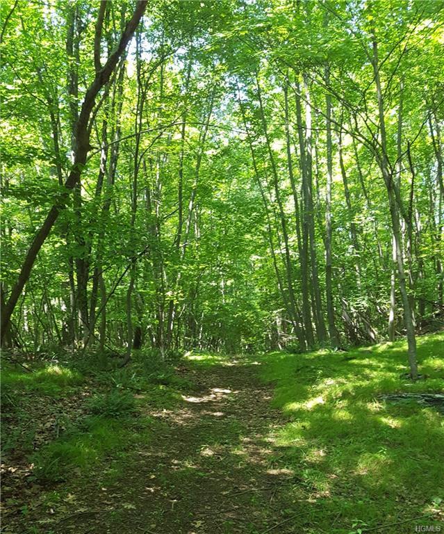 Wilkenson Hollow Road - Photo 1
