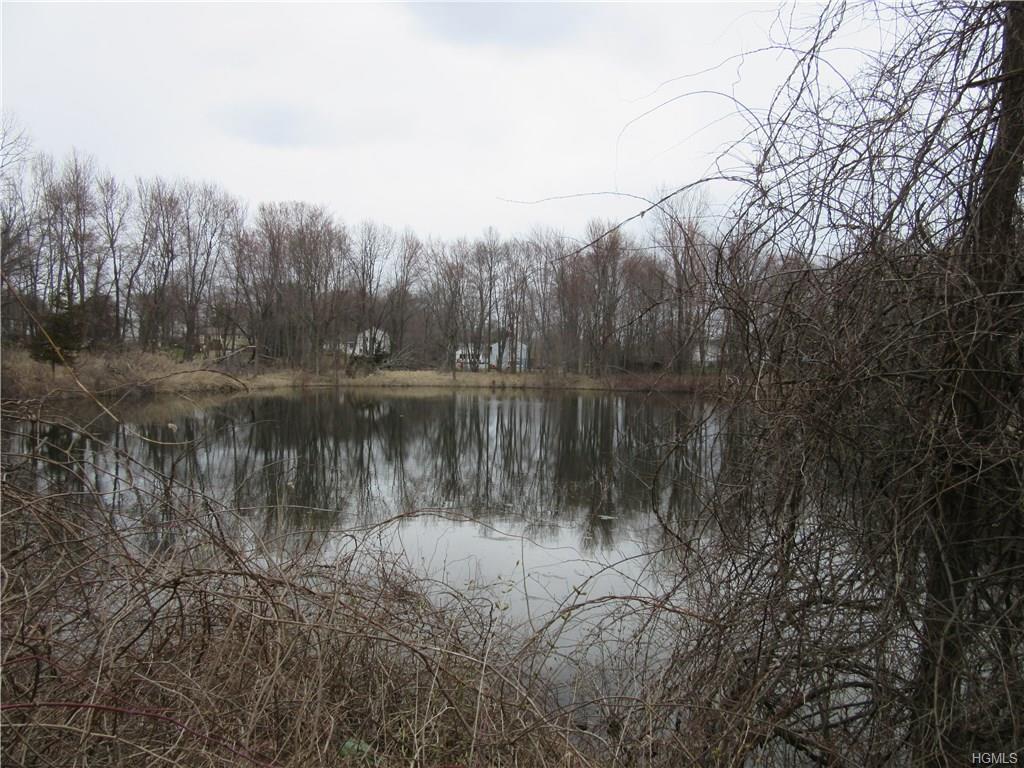 Myers Corners Rear Road - Photo 1
