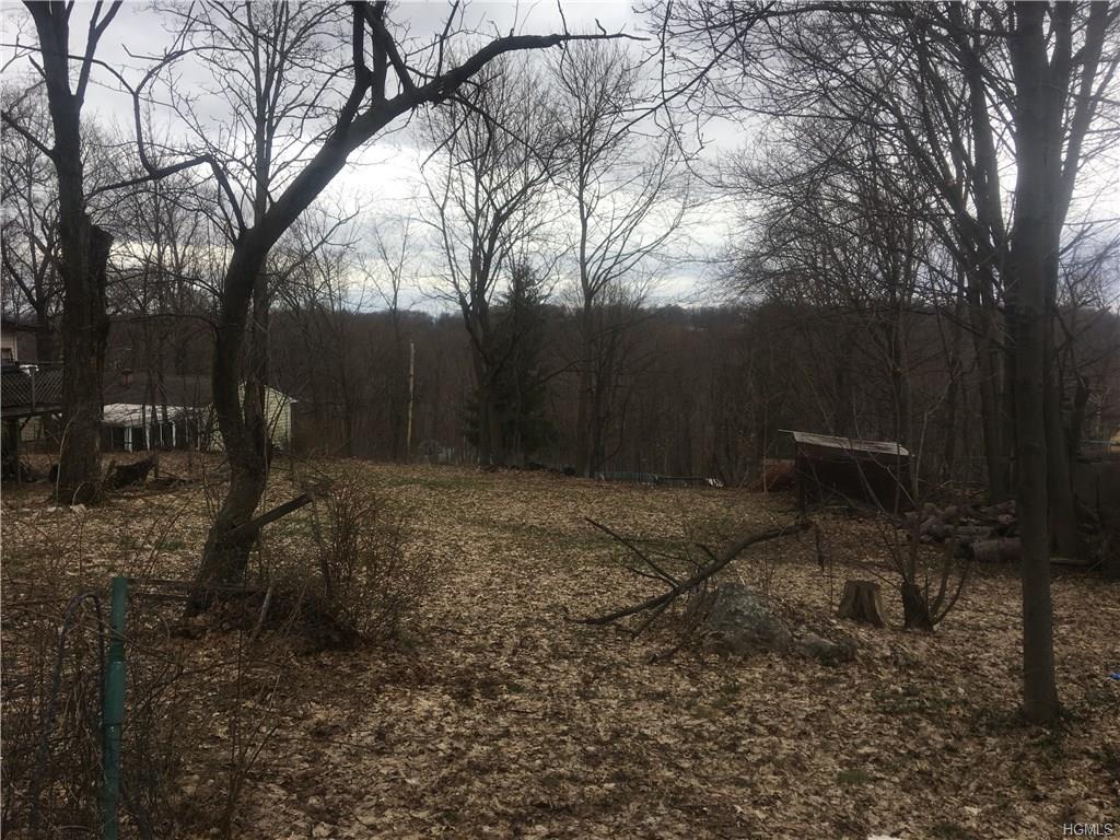 Cedar Tr. Trail - Photo 1