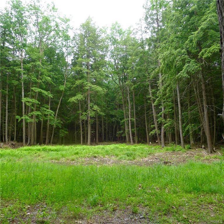 Stonewall Road - Photo 1
