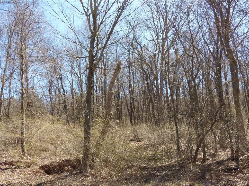 Sheldon Road - Photo 1
