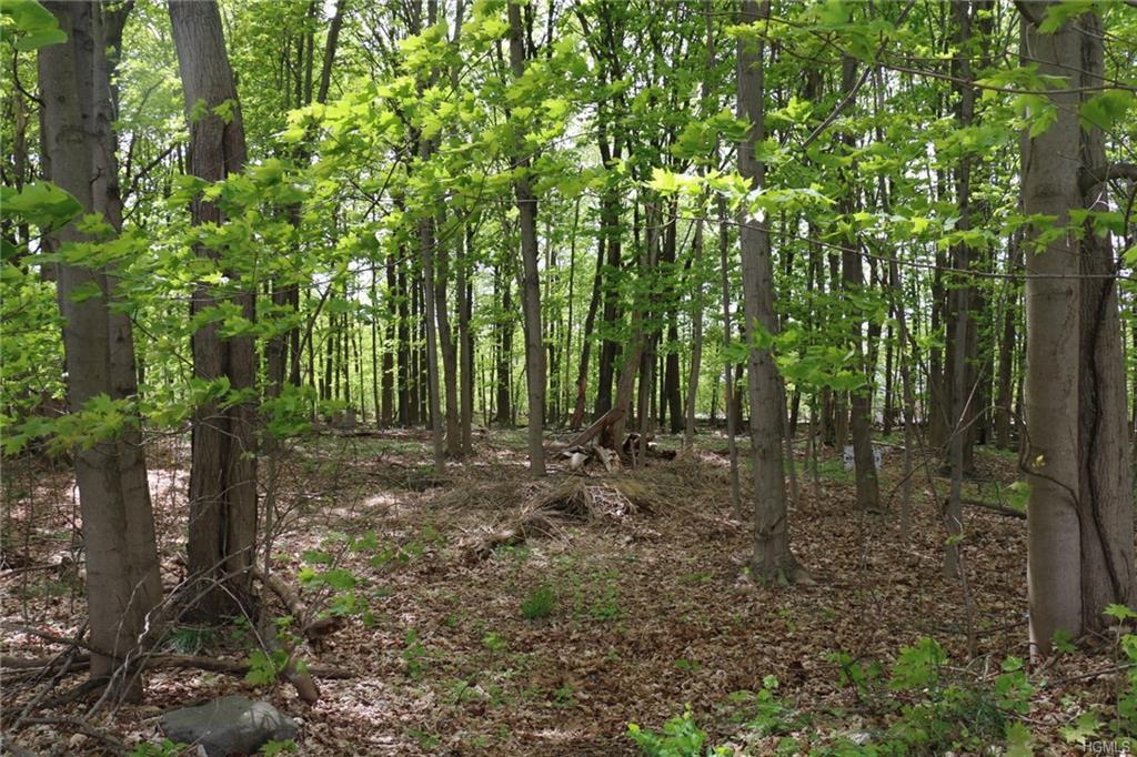 15 Sho Gee Court - Photo 1