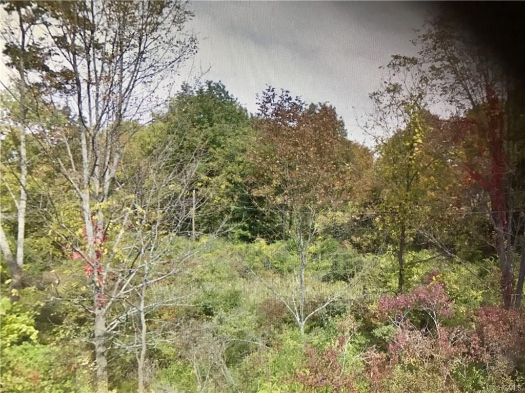 80 Fishkill Hook Road - Photo 1