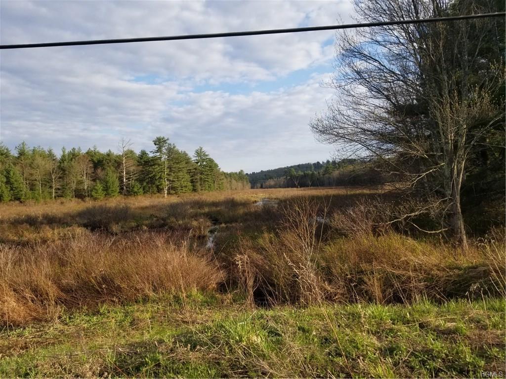 Nys Hwy 17B - Photo 1