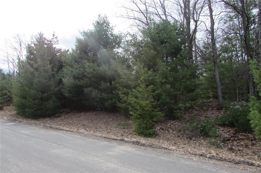 0 Mountain Top Road - Photo 1