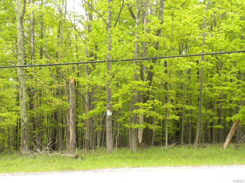 Bank/Dairyland Rd Road - Photo 1