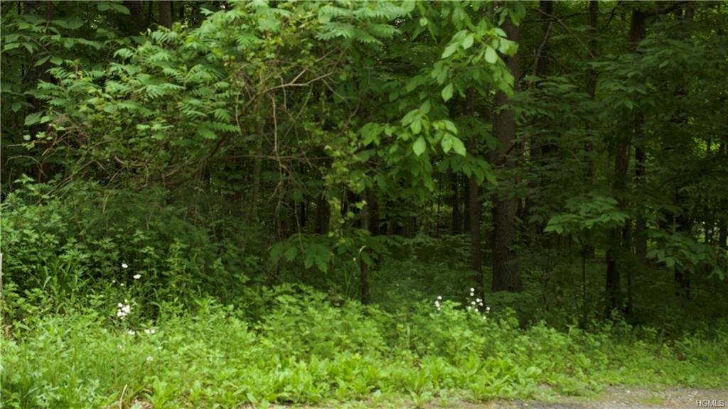 1501 Us Route 209 - Photo 1