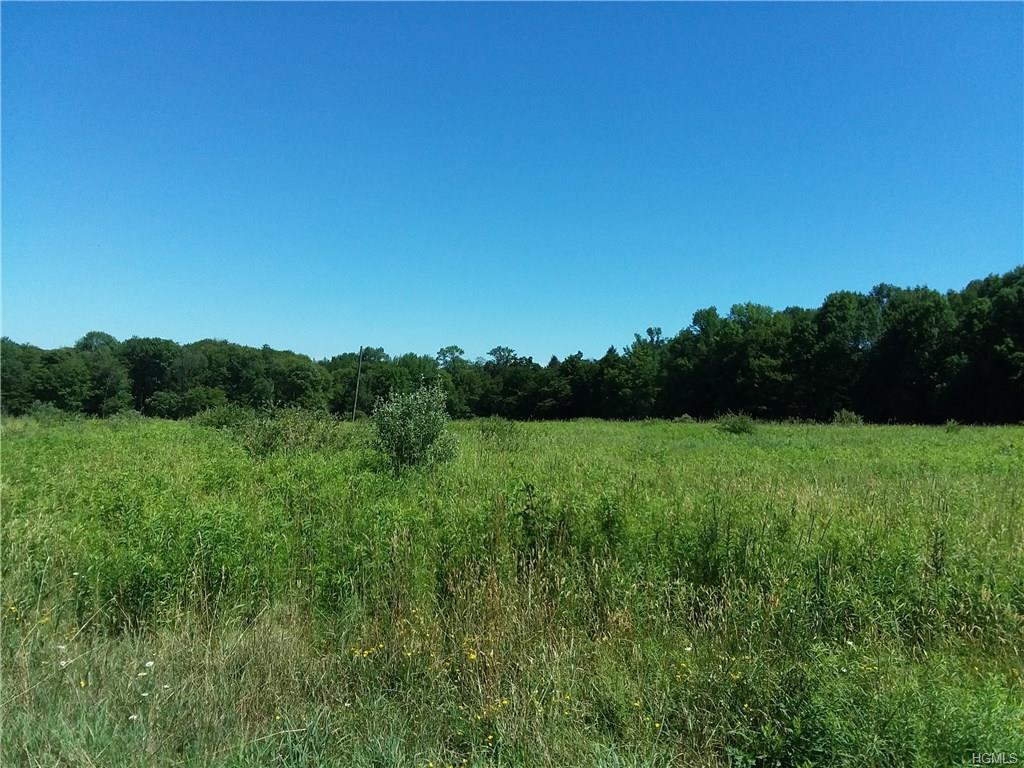 Jeffersonville North Branch Road - Photo 1