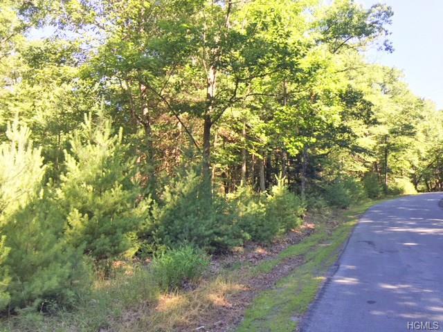 Mail Road - Photo 1