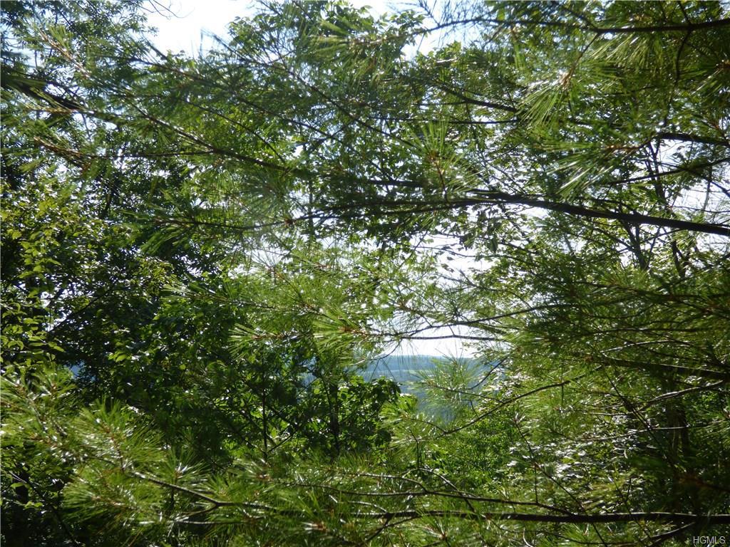 New Turnpike Road - Photo 1