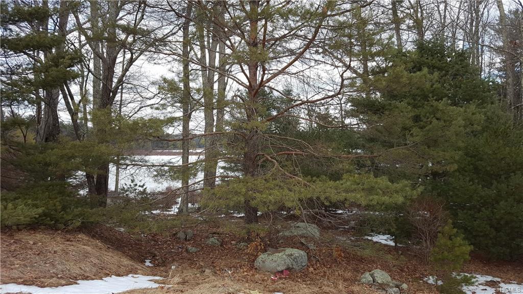 1245 Sackett Lake Road - Photo 1