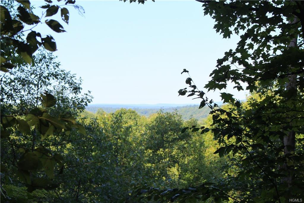 TBD Lake View Terrace - Photo 1